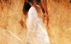 新s s s视频在线